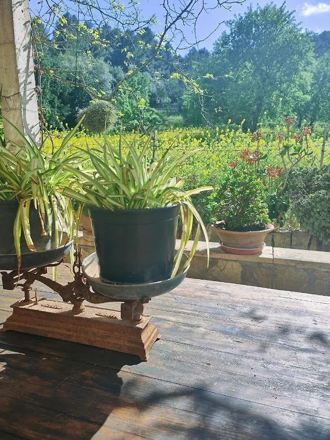 Villa Son Apiana Mancor del Valle